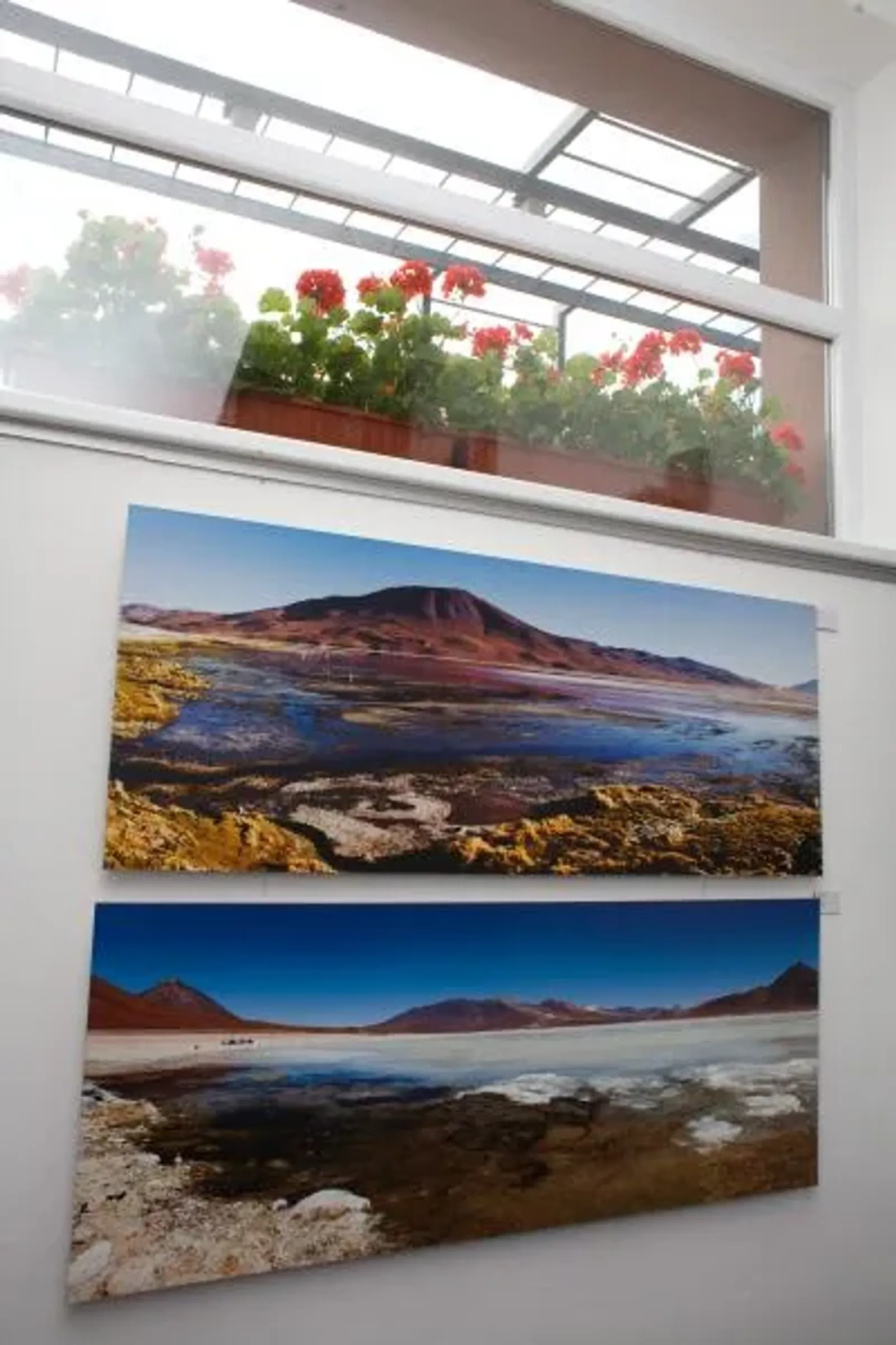 Alena Cábañová - 6