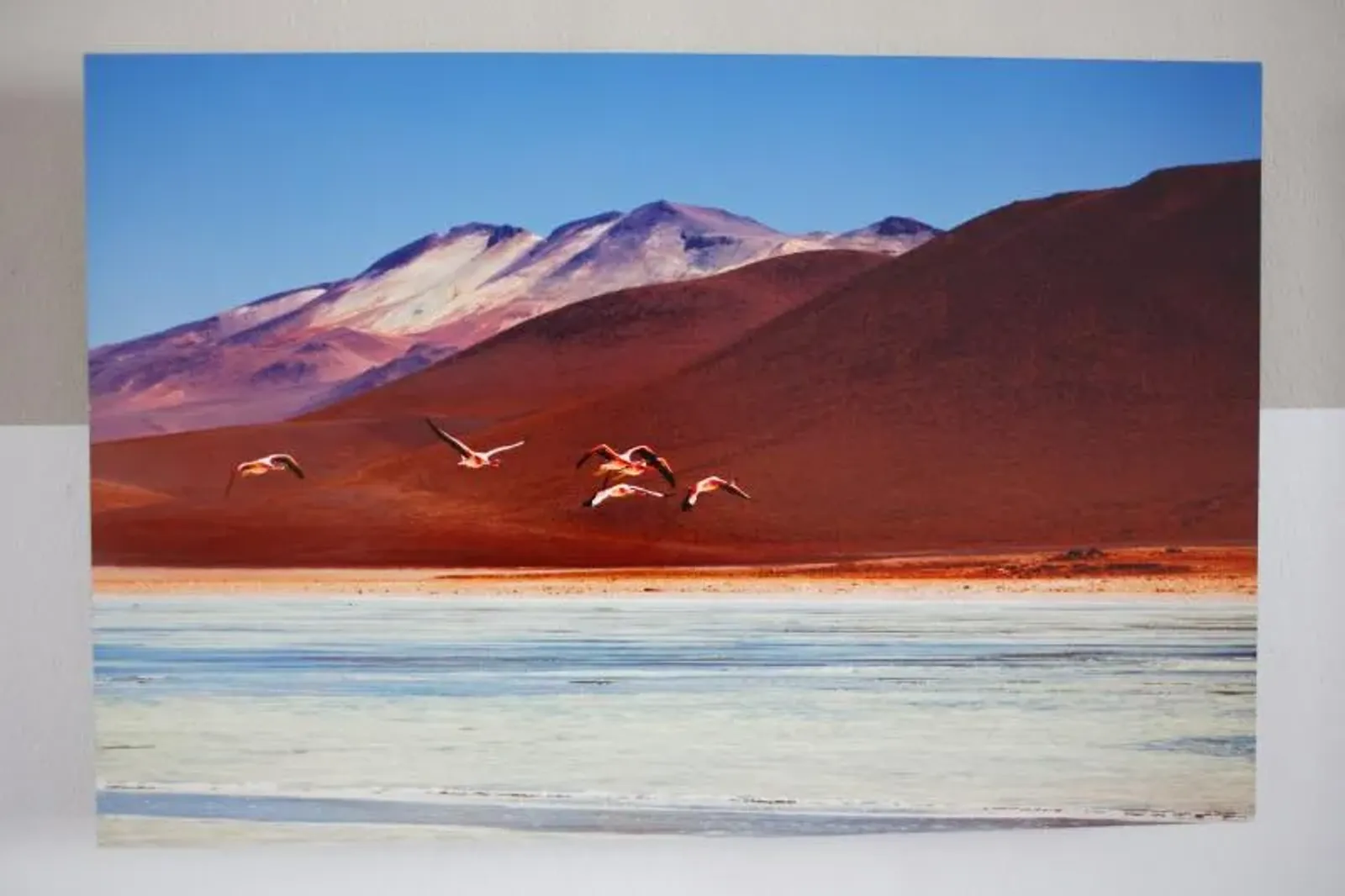 Alena Cábañová - 19