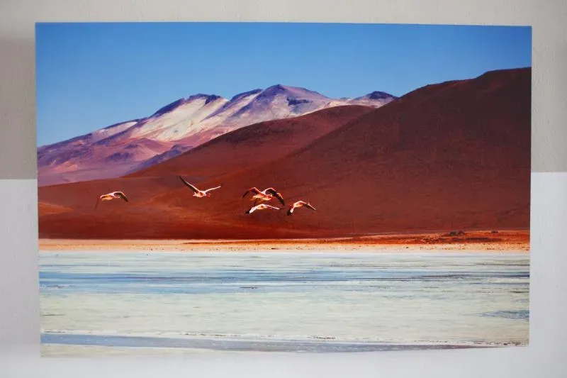 Alena Cábañová - 19