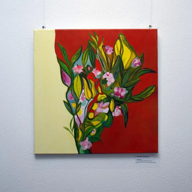 Šicková, Czinege - 33